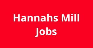 Jobs in Hannahs Mill GA