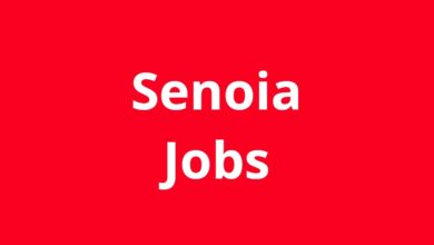 Jobs in Senoia GA