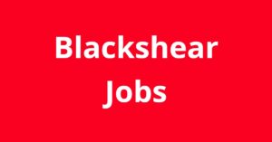 Jobs in Blackshear GA