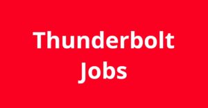 Jobs in Thunderbolt GA